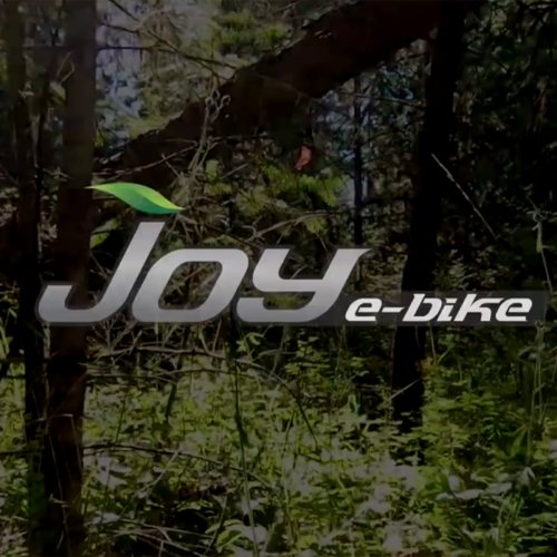Joy e-Bike